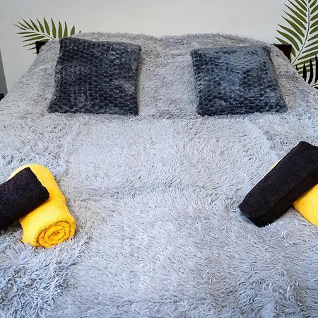 Daire Tiger Deluxe Prag
