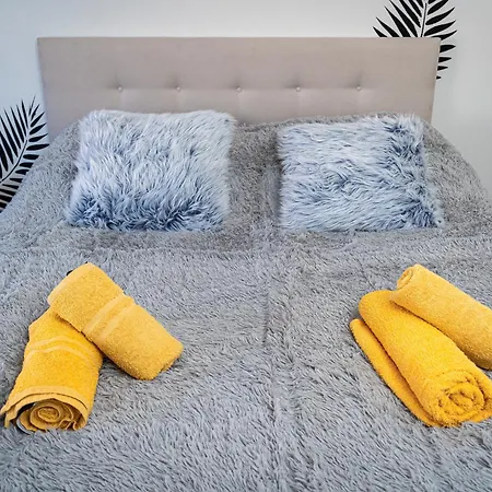 Tiger Deluxe Daire Prag