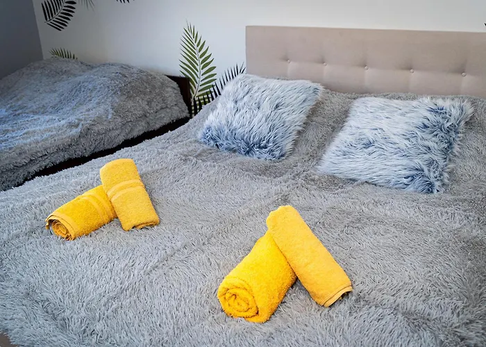 Tiger Deluxe Apartment
